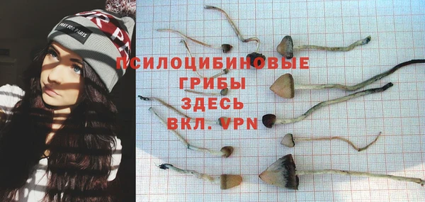 амфетамин Алексеевка