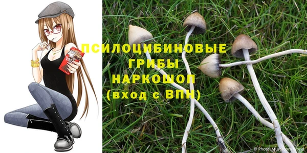 MESCALINE Алзамай