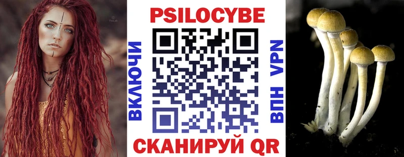 магазин продажи наркотиков  МЕГА ONION  Галлюциногенные грибы ЛСД  Лахденпохья 